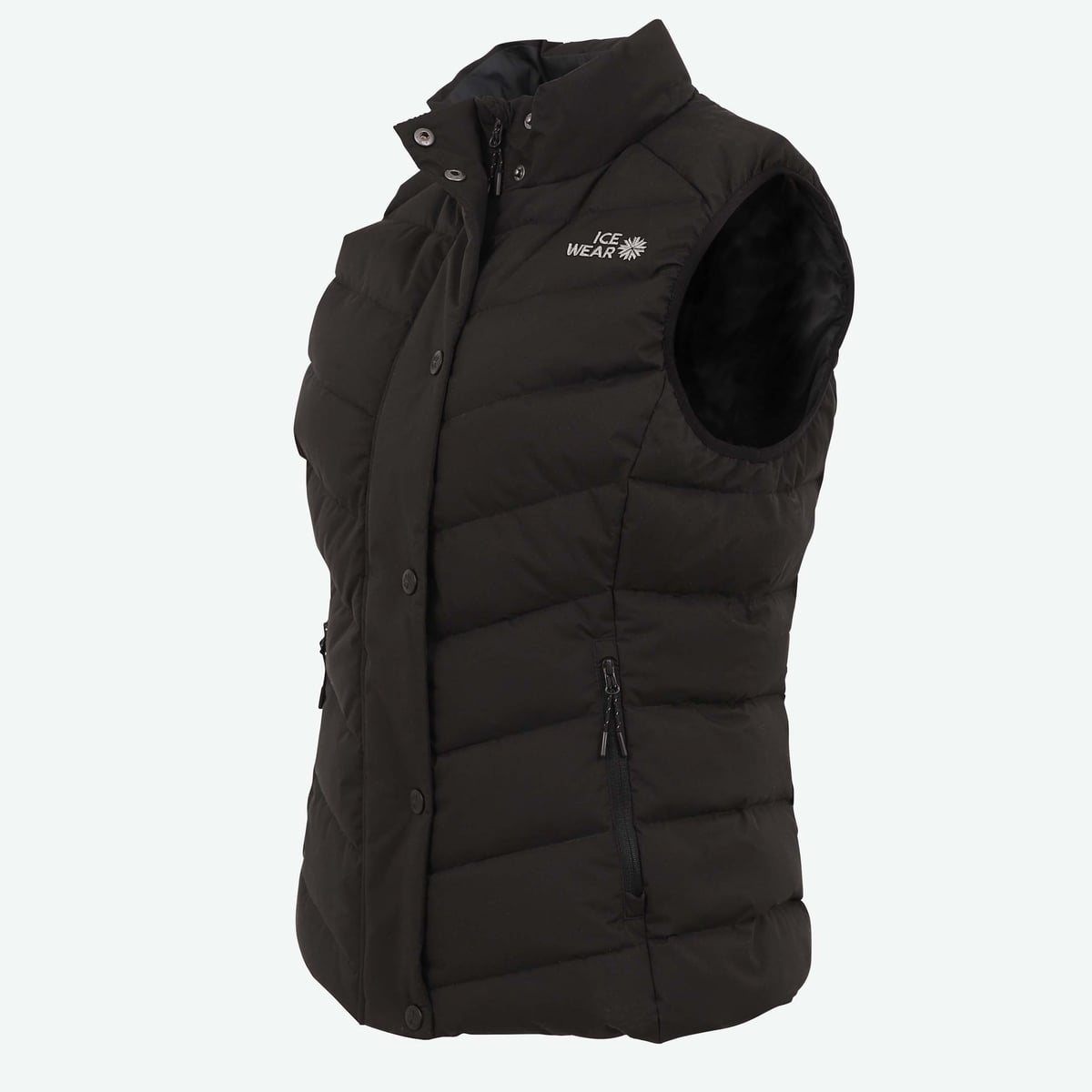 bra-fw-1211-0001-2.jpeg