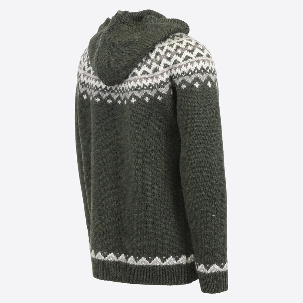 SKJALDBREIÐUR ullarpeysa með hettu