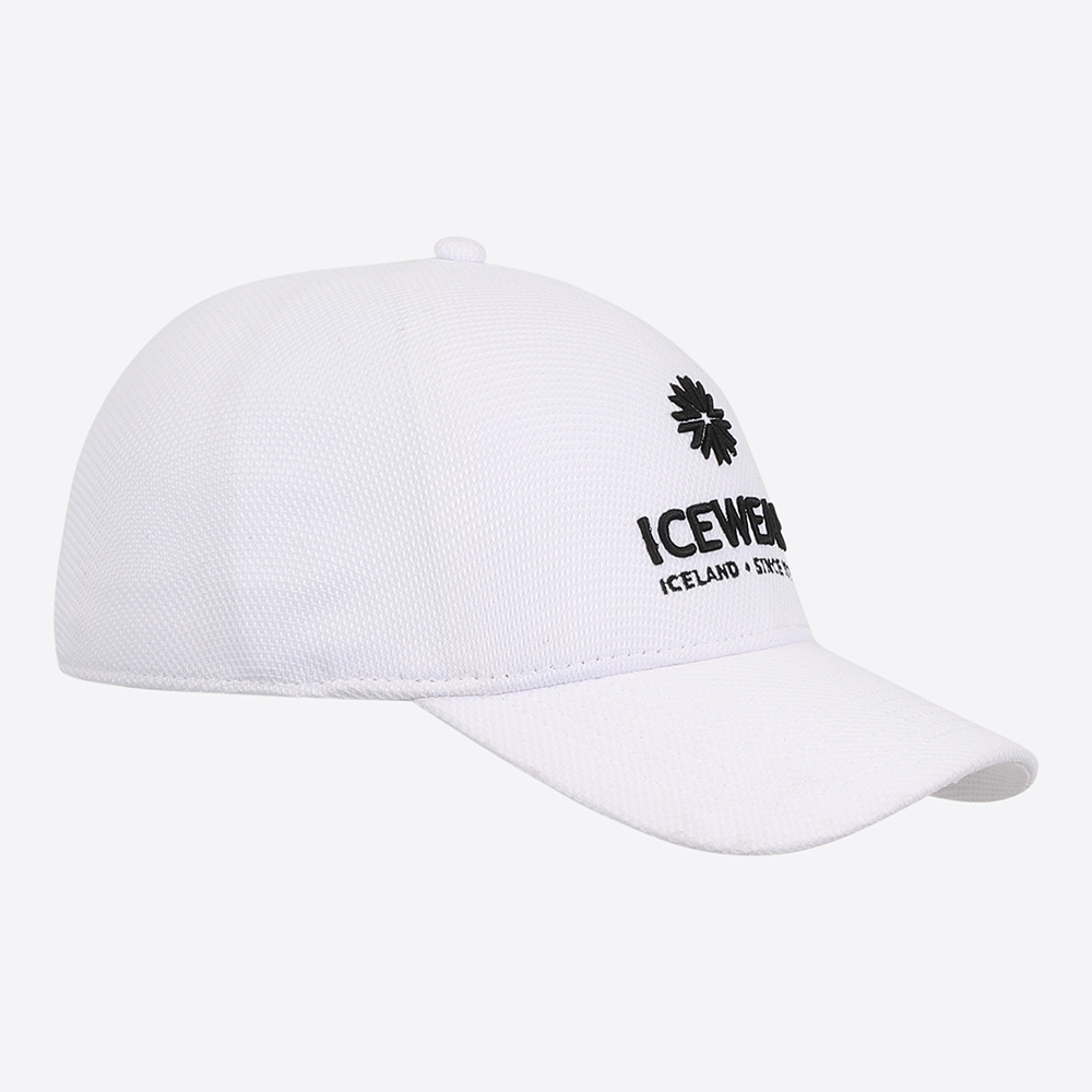 Steinhella cap