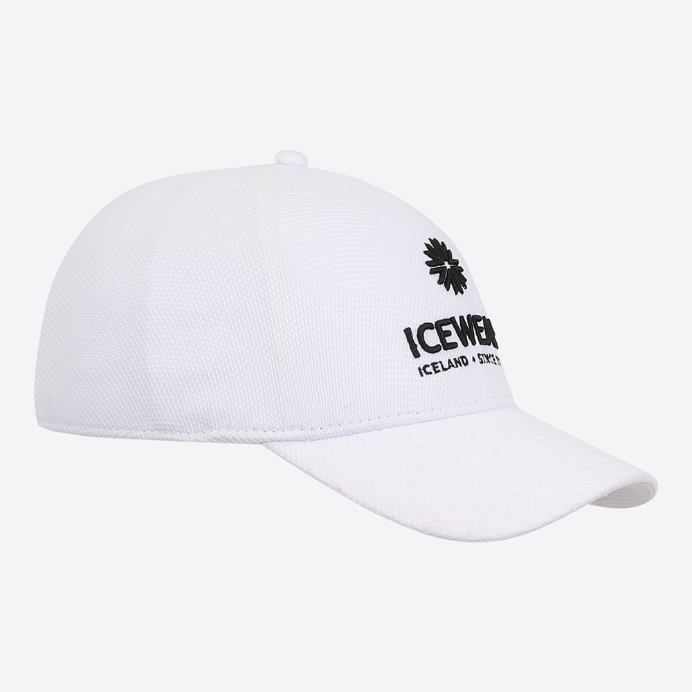 Steinhella cap