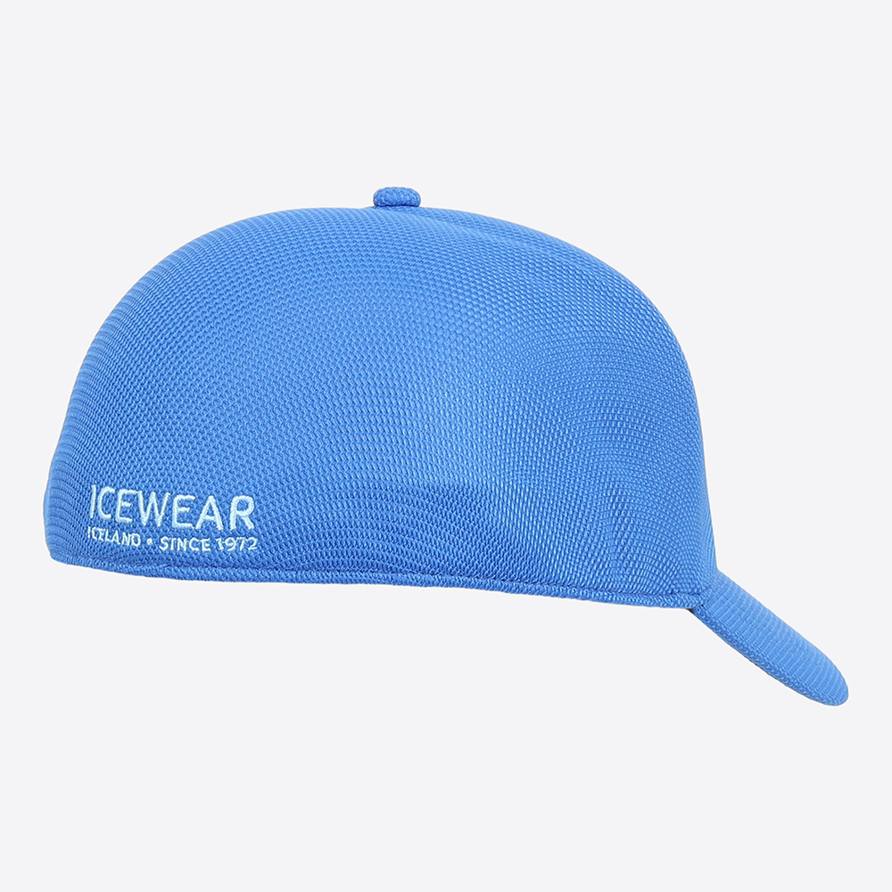 Steinhella cap