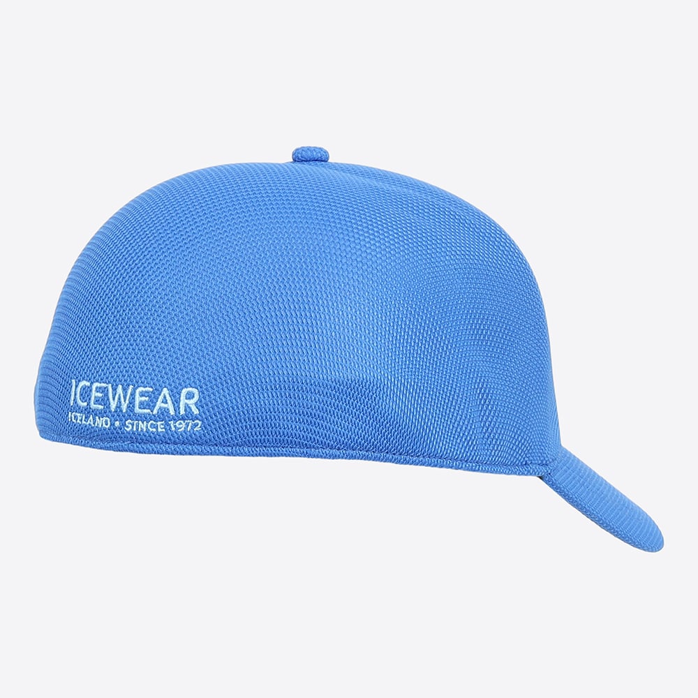Steinhella cap