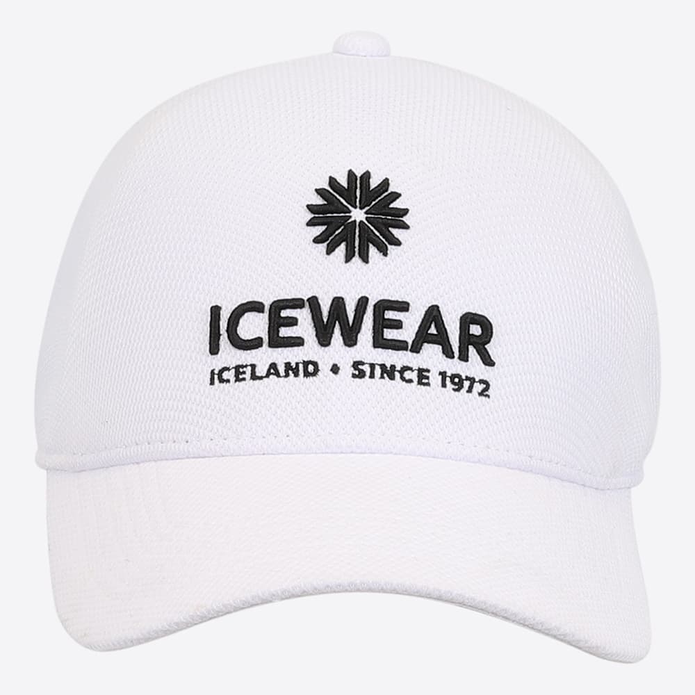 Steinhella cap