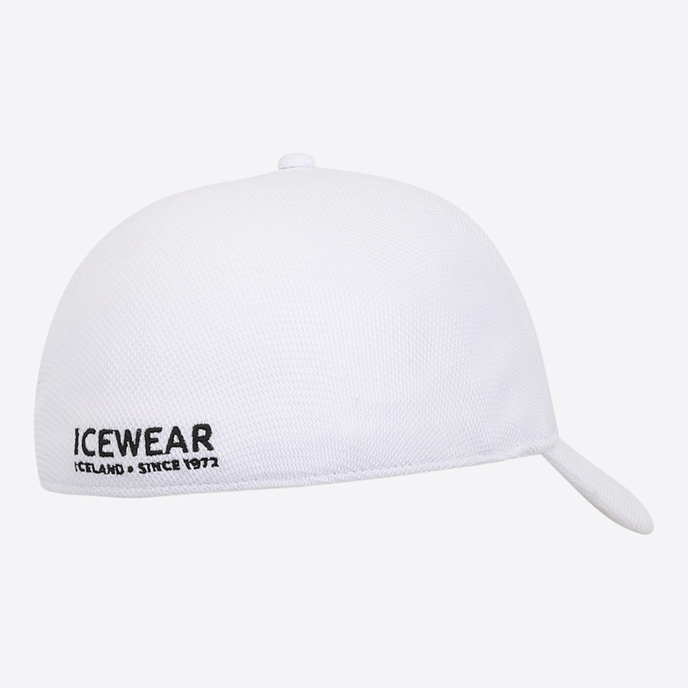 Steinhella cap