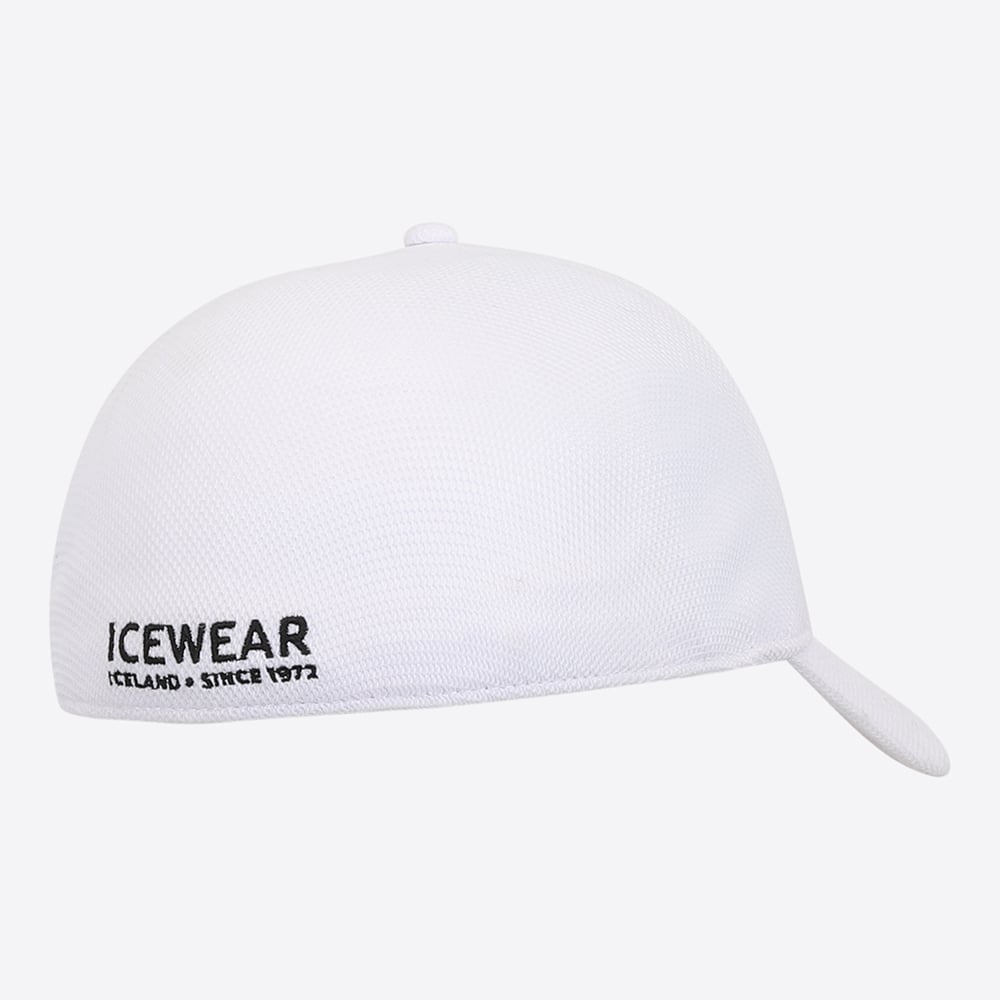 Steinhella cap
