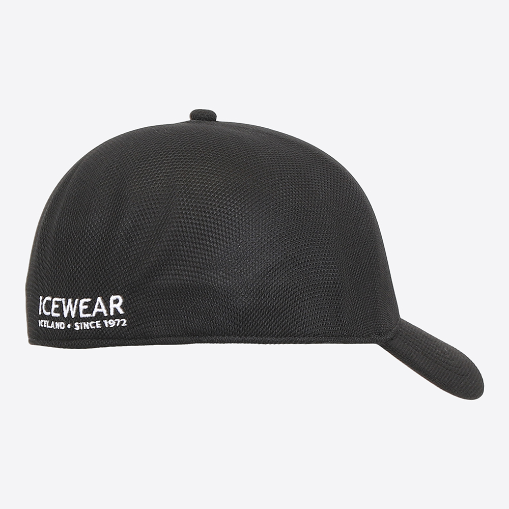 Steinhella cap