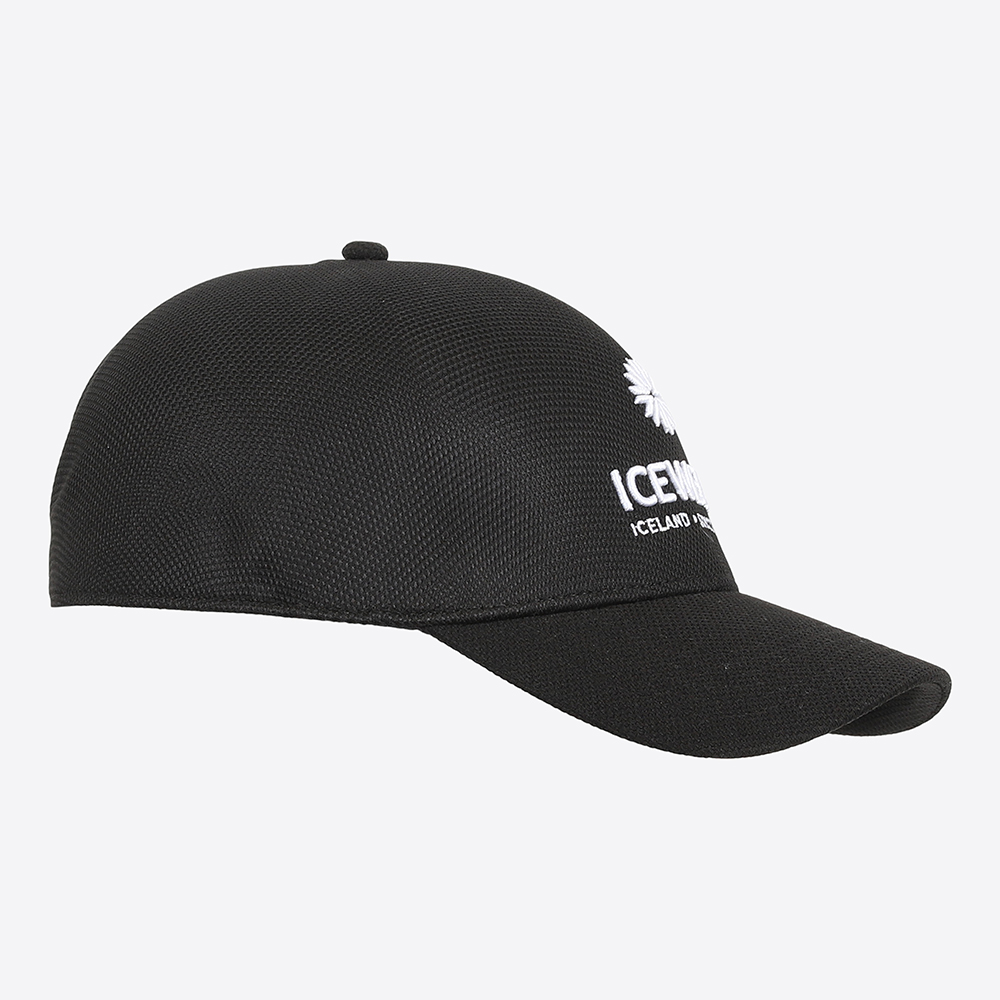 Steinhella cap