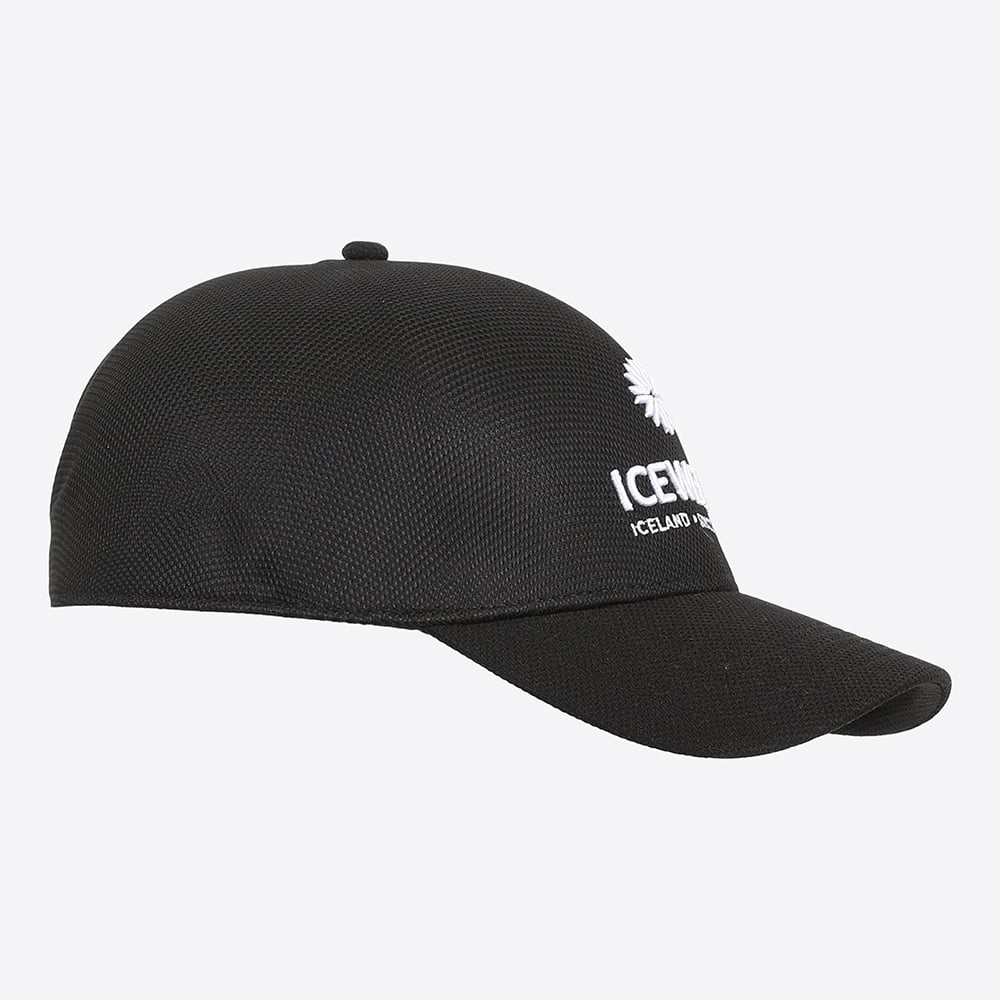 Steinhella cap