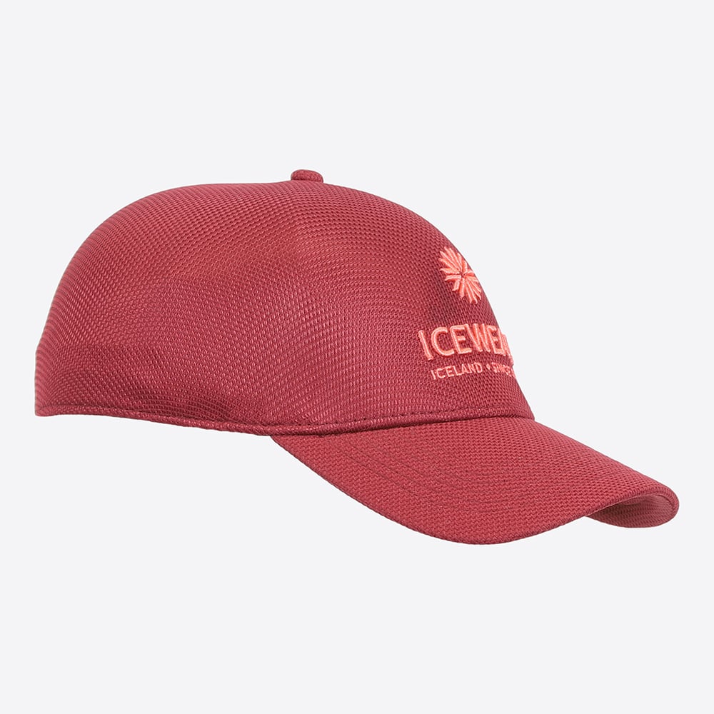 Steinhella cap