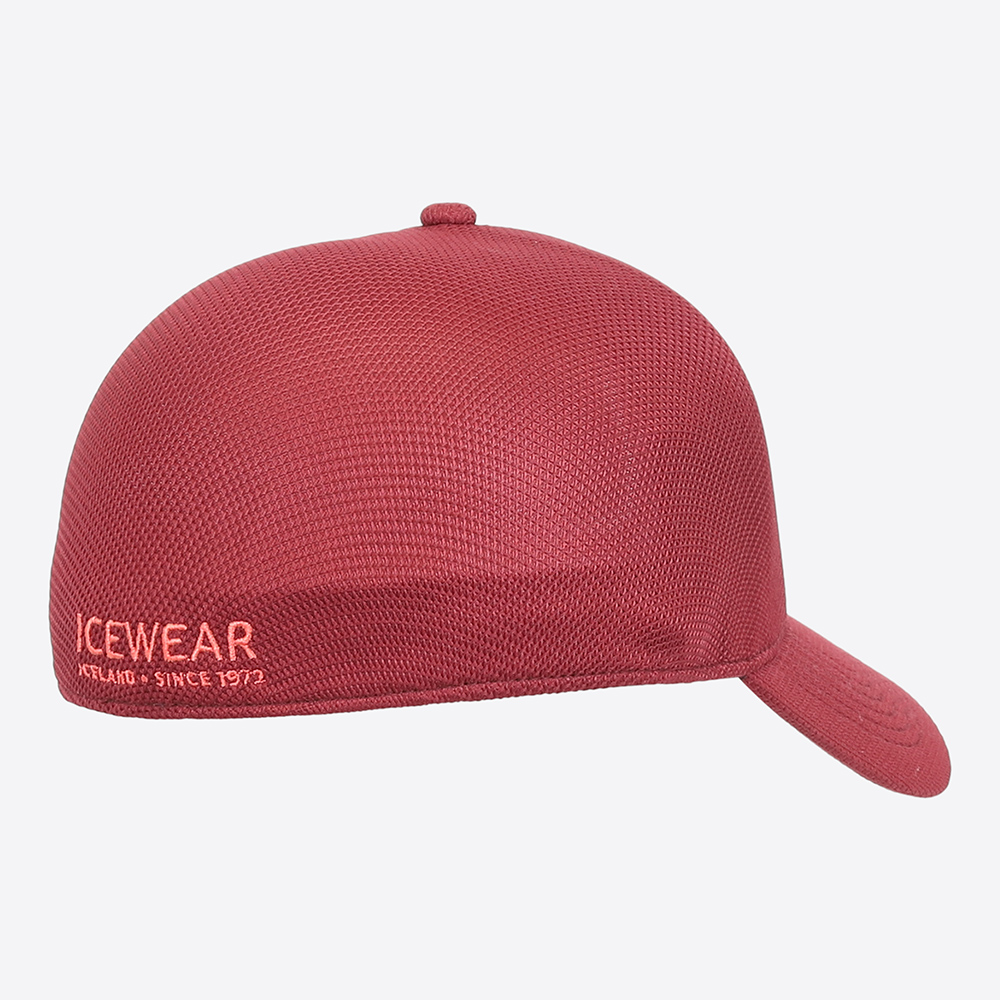 Steinhella cap