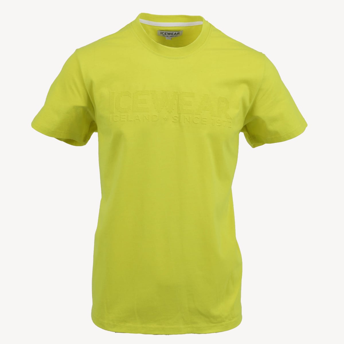 tshirt-15-0650-1.jpeg