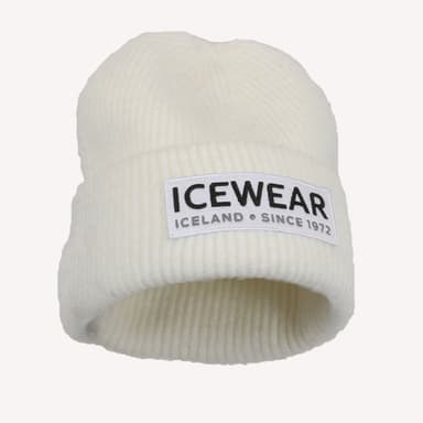 1001