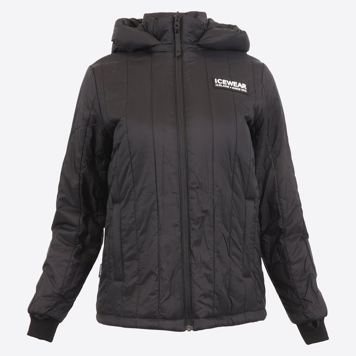 FW-1313-0001-4.jpeg