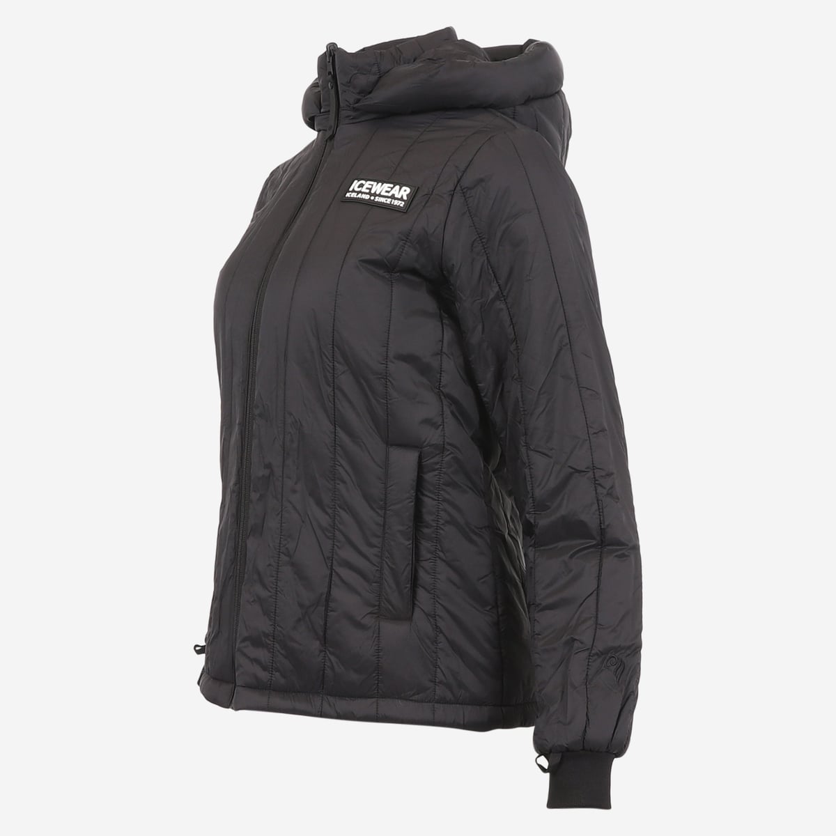 FW-1313-0001-5.jpeg