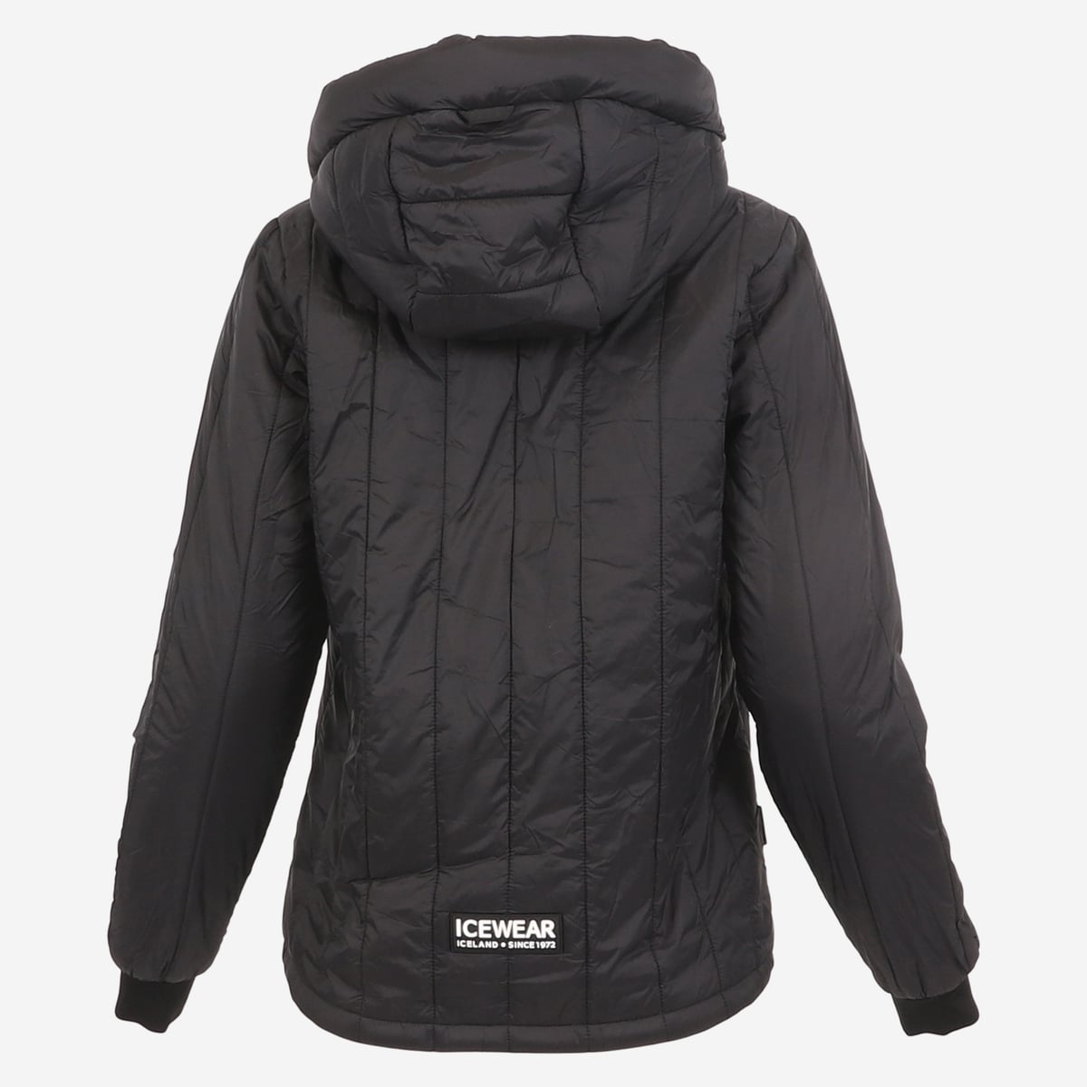 FW-1313-0001-6.jpeg