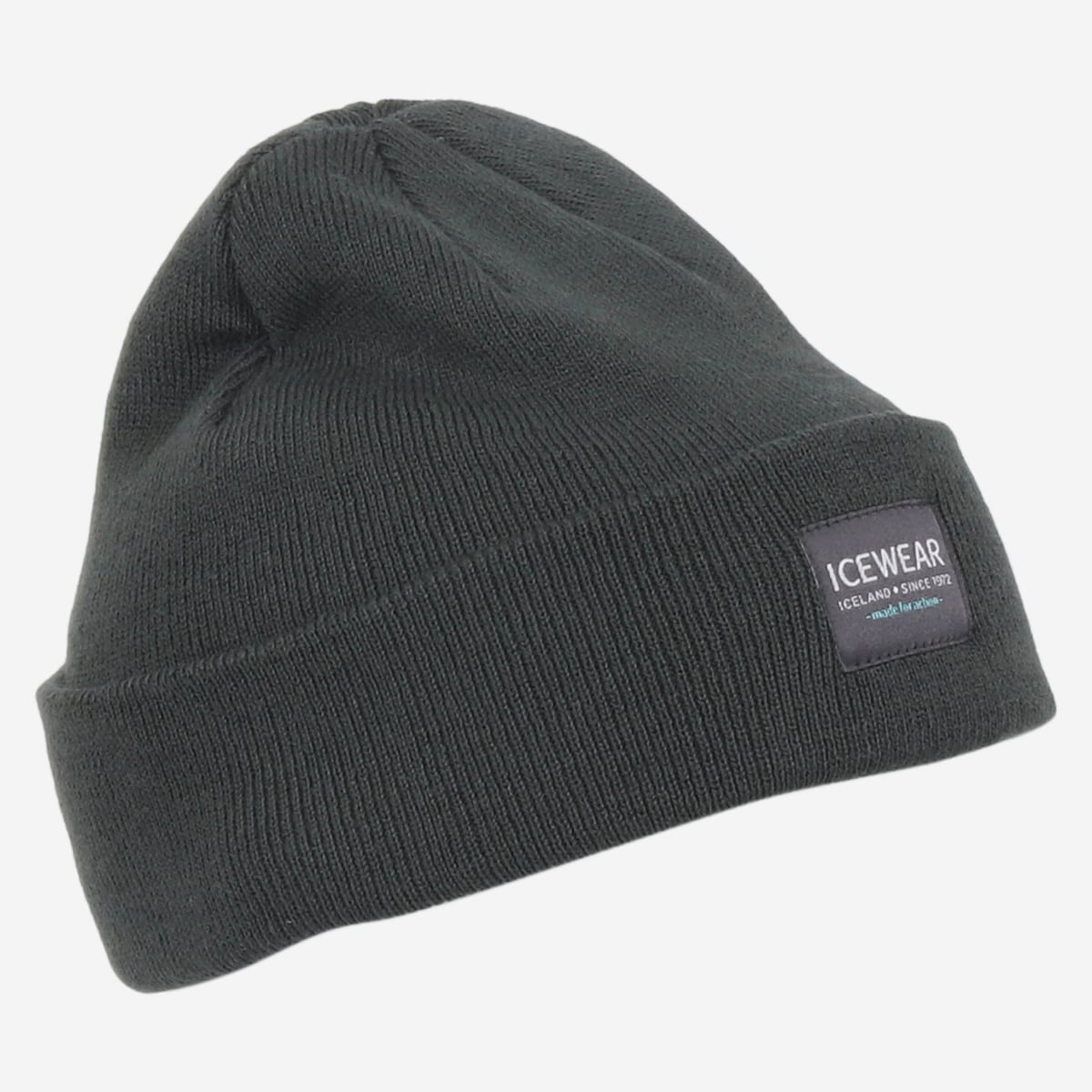 Tindur_Young_hat_green.jpeg