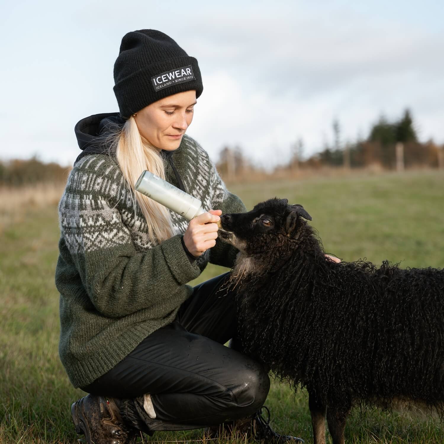 Elis Icelandic wool Sweater