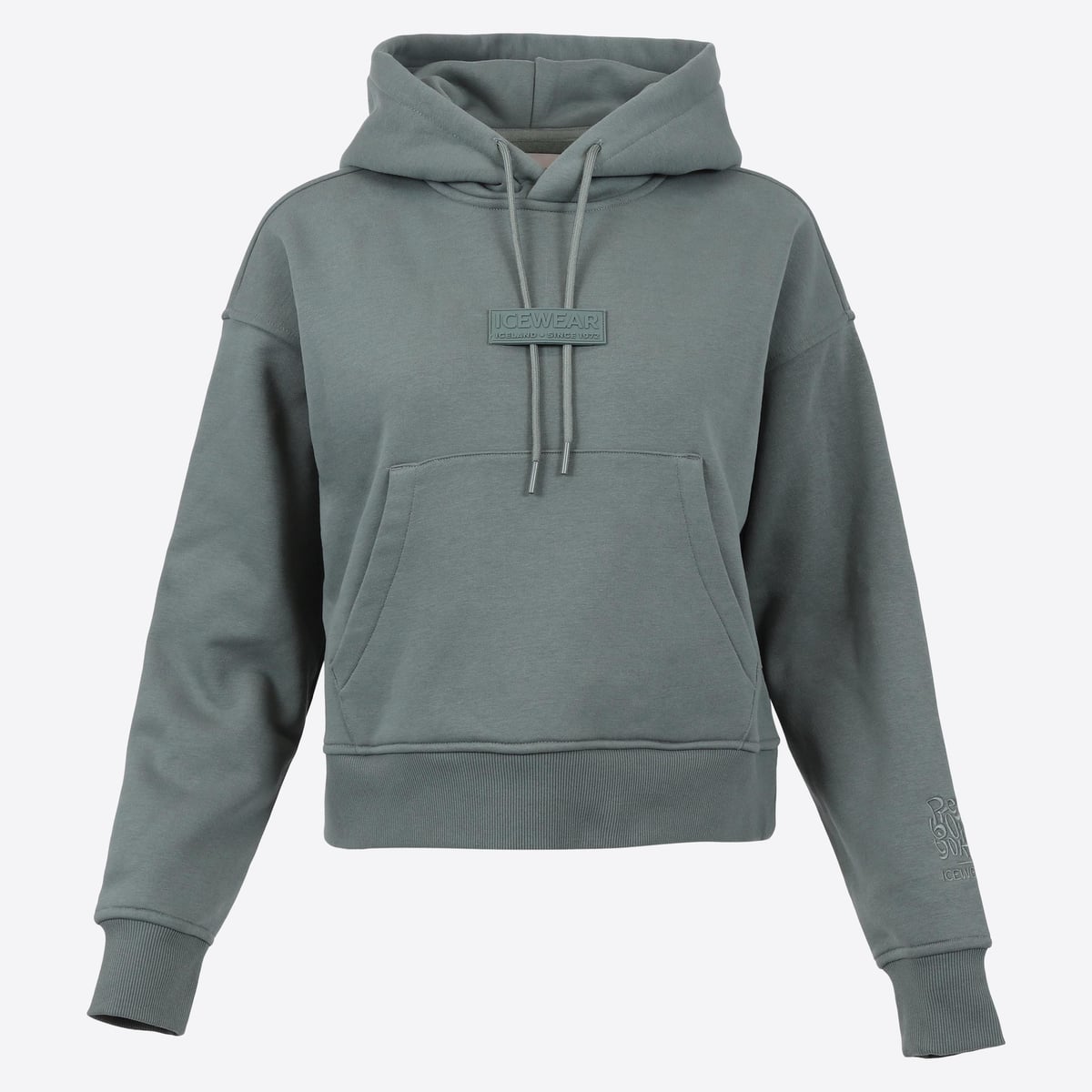 patrikshraun-pbt-cotton-womens-hoodie-iceland-music_184.jpeg