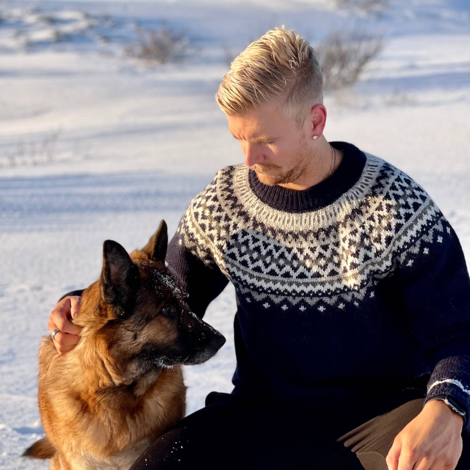 SKJALDBREIÐUR ullarpeysa