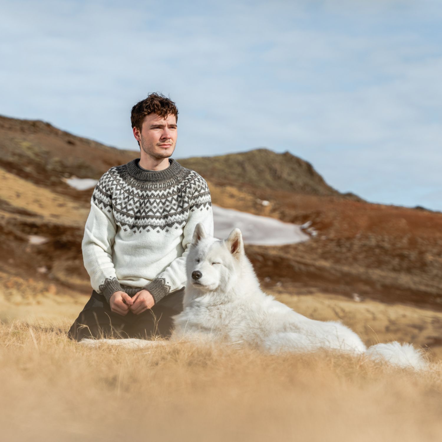 SKJALDBREIÐUR ullarpeysa