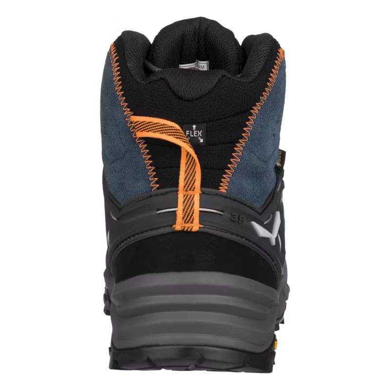 ALPTRAINER2MIDGTX4.jpeg