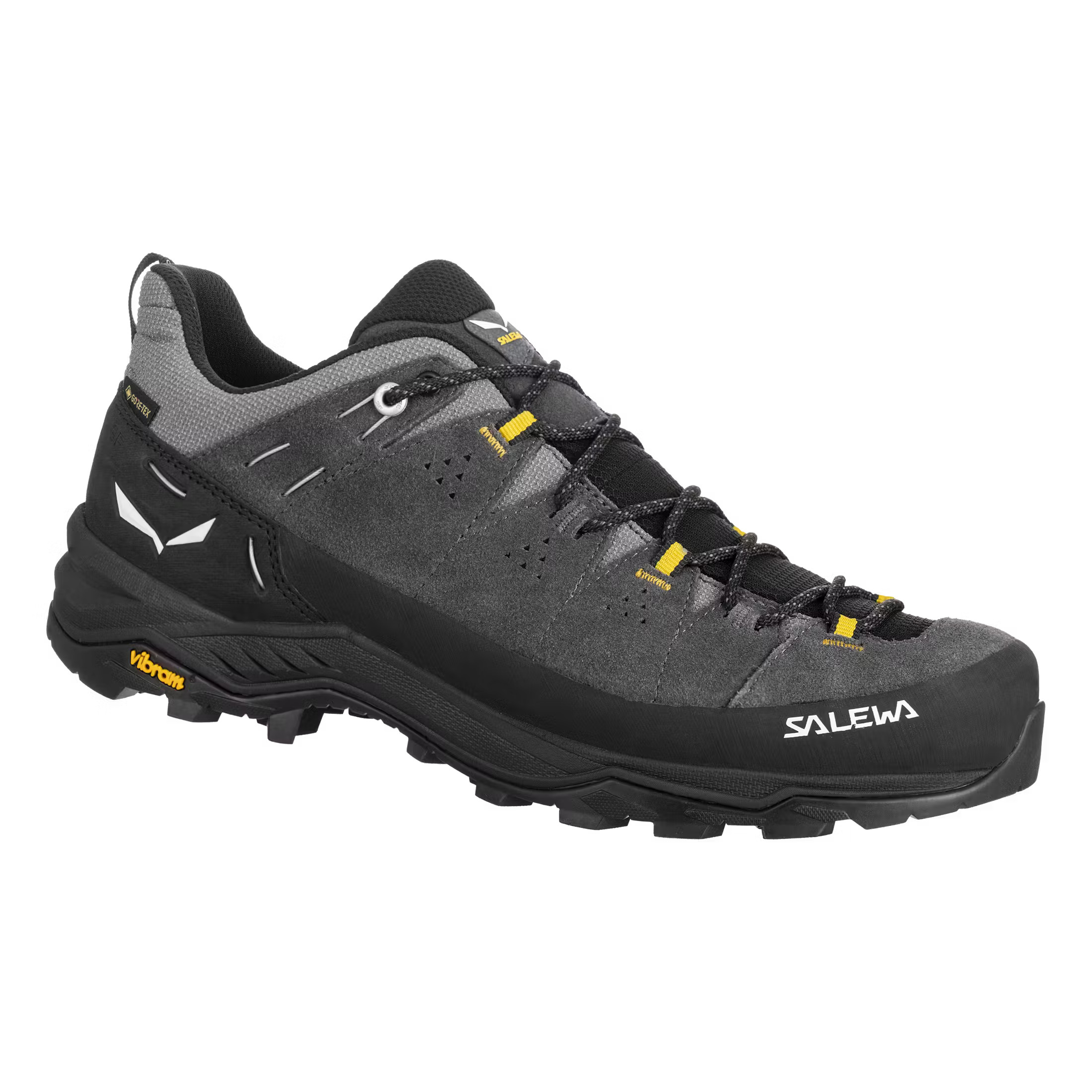 Salewa Gore-Tex herra gönguskór Alp Trainer 2